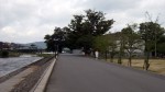 竹田公園川沿いの椋の木