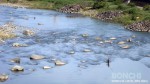 アユ釣り風景