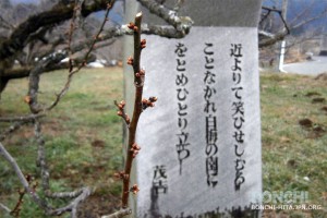 2月6日のおおくぼ台