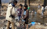 小学生のみなさんが鮎の稚魚を放流