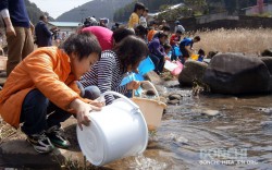 東渓小学校で鮎の放流体験