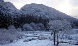 雪の風景（大山町）