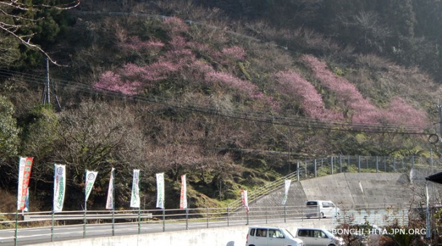 木の花ガルテン