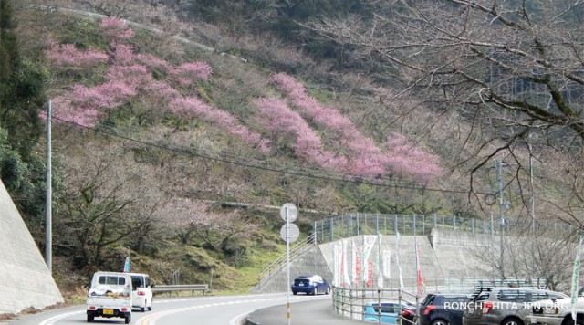 「大山」の花文字