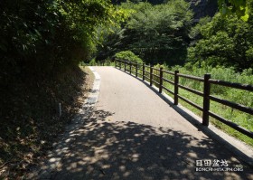 遊歩道も涼しい感じがする