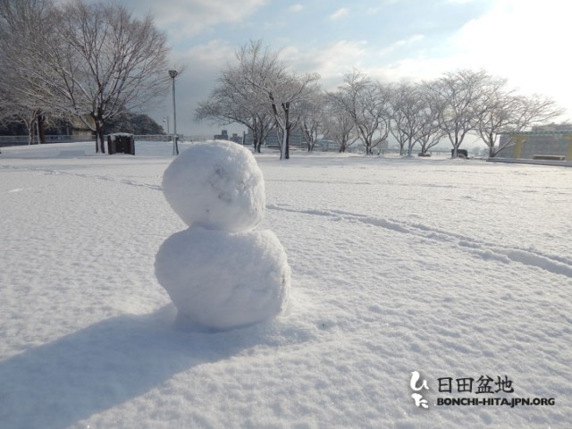 雪の三隈川公園