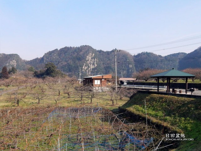 おおくぼ台梅園2月4日