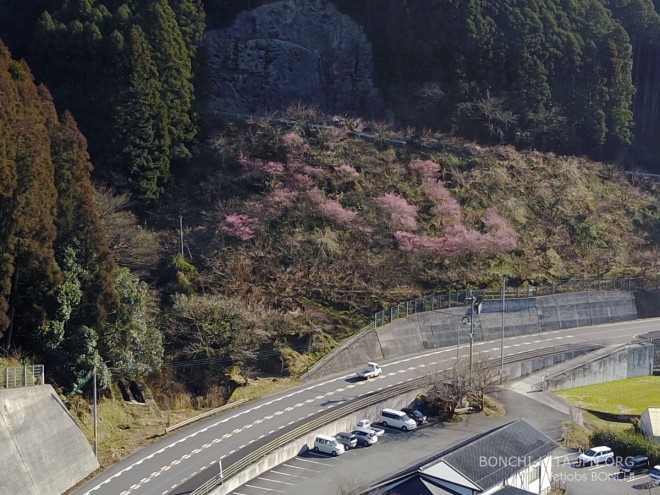 木の花ガルテン